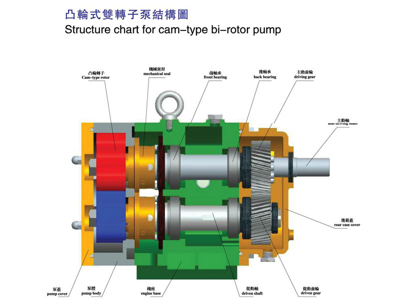 Rotor lobe Pump