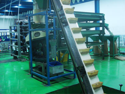 Peanut Shelling Sieving Production Line