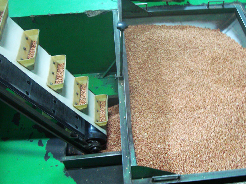 Peanut Shelling Sieving Production Line