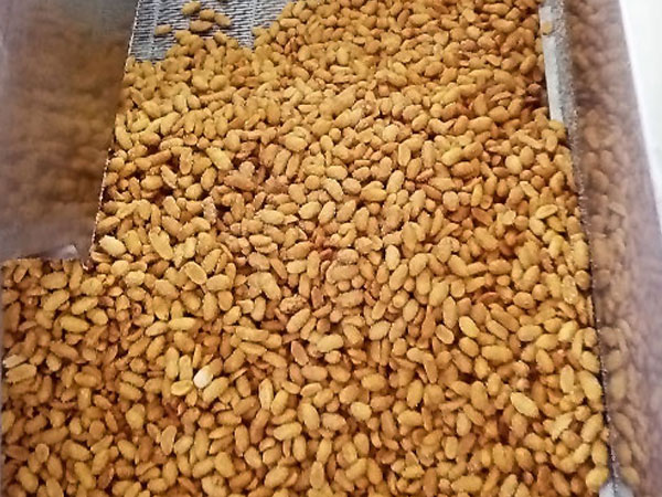 Honey Coated Peanut