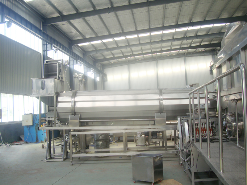 Continuous Honey Coated Peanut Machine 