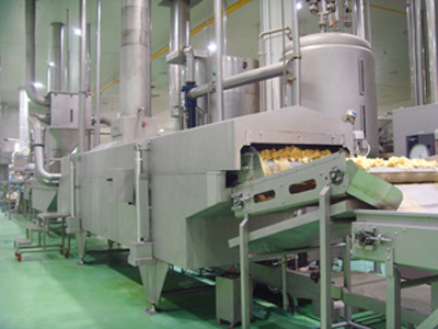 Continuous peanut fryer