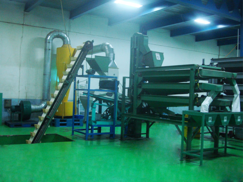 Peanut Shelling Sieving Production Line